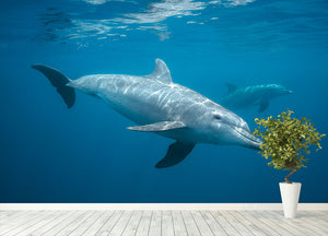 Curious Dolphin Wall Mural Wallpaper - Canvas Art Rocks - 4