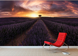 Lavender Sunset Wall Mural Wallpaper - Canvas Art Rocks - 2