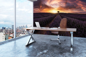 Lavender Sunset Wall Mural Wallpaper - Canvas Art Rocks - 3