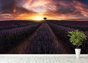 Lavender Sunset Wall Mural Wallpaper - Canvas Art Rocks - 4