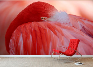 Red Flamingo Wall Mural Wallpaper - Canvas Art Rocks - 2