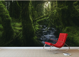 Hidden Wood Wall Mural Wallpaper - Canvas Art Rocks - 2