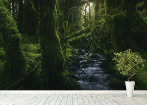 Hidden Wood Wall Mural Wallpaper - Canvas Art Rocks - 4