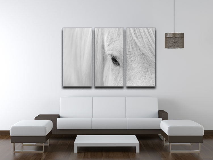 Whisper of Iceland 3 Split Panel Canvas Print - Canvas Art Rocks - 3