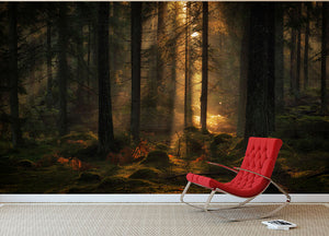 The Light In The Forest Wall Mural Wallpaper - Canvas Art Rocks - 2