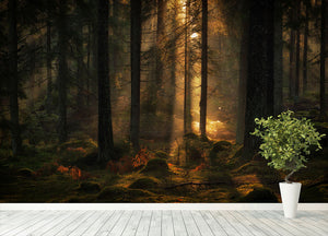 The Light In The Forest Wall Mural Wallpaper - Canvas Art Rocks - 4