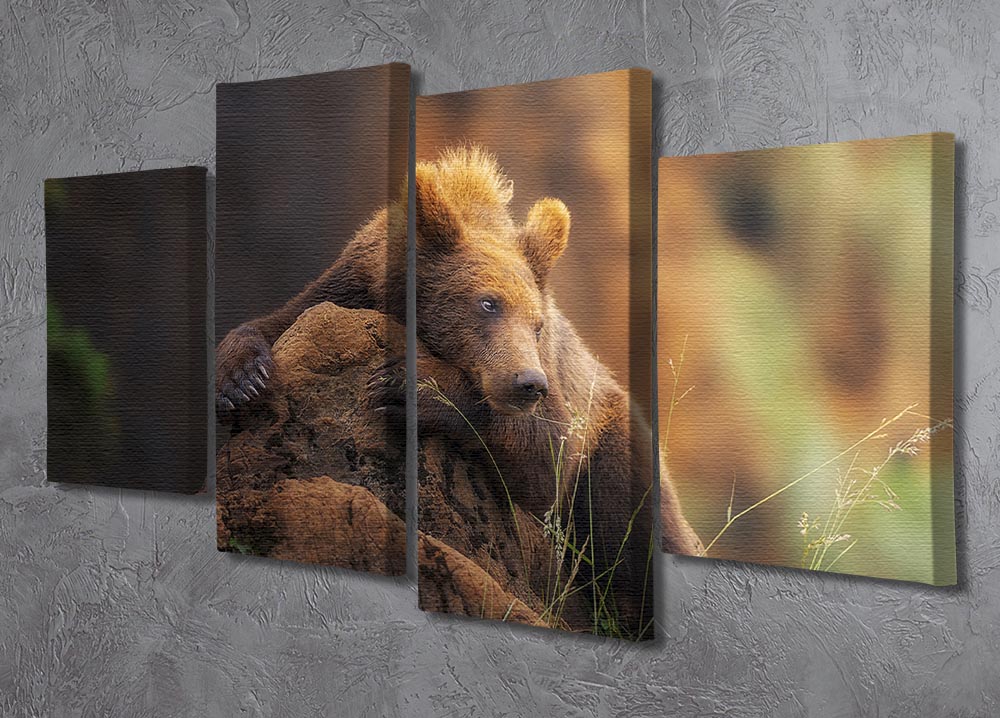 Bear portrait 4 Split Panel Canvas - Canvas Art Rocks - 2