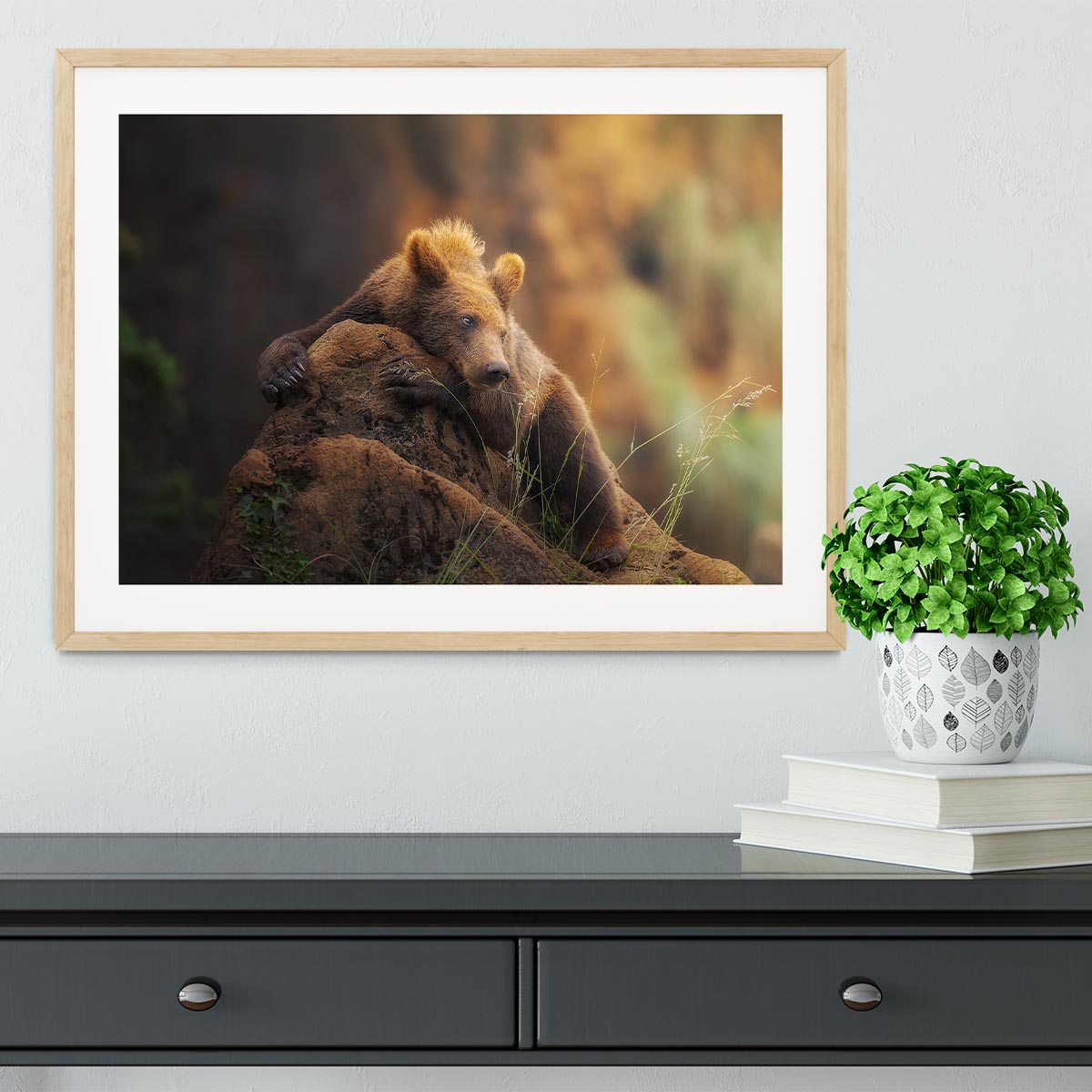 Bear portrait Framed Print - Canvas Art Rocks - 3