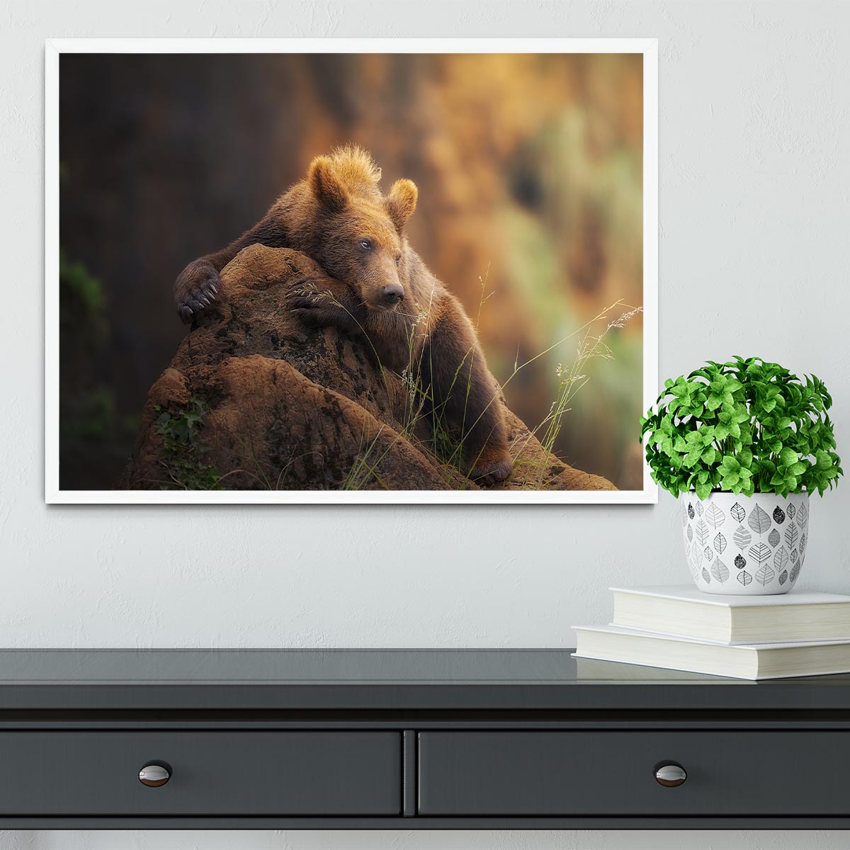 Bear portrait Framed Print - Canvas Art Rocks -6