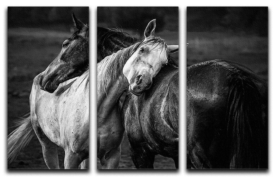 Warm rain 3 Split Panel Canvas Print - Canvas Art Rocks - 1