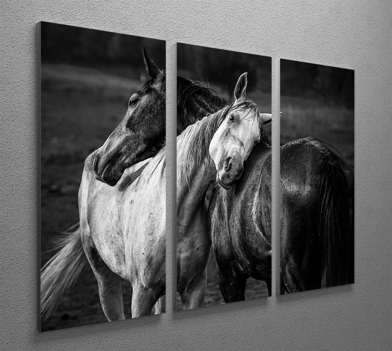 Warm rain 3 Split Panel Canvas Print - Canvas Art Rocks - 2