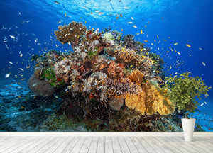 Underwater Biodiversity Wall Mural Wallpaper - Canvas Art Rocks - 4