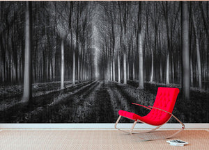 Into The Forest Wall Mural Wallpaper - Canvas Art Rocks - 2