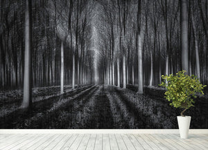 Into The Forest Wall Mural Wallpaper - Canvas Art Rocks - 4