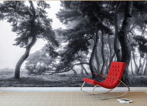 Pine Trees Dancing In The Fog Wall Mural Wallpaper - Canvas Art Rocks - 2