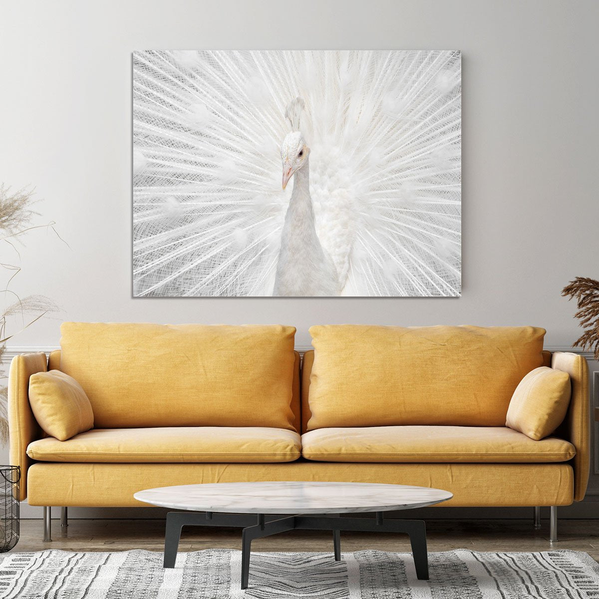 Splendid Whitie Peacock Canvas Print or Poster - Canvas Art Rocks - 4