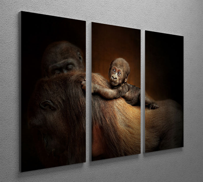 Baby Monkey 3 Split Panel Canvas Print - Canvas Art Rocks - 2