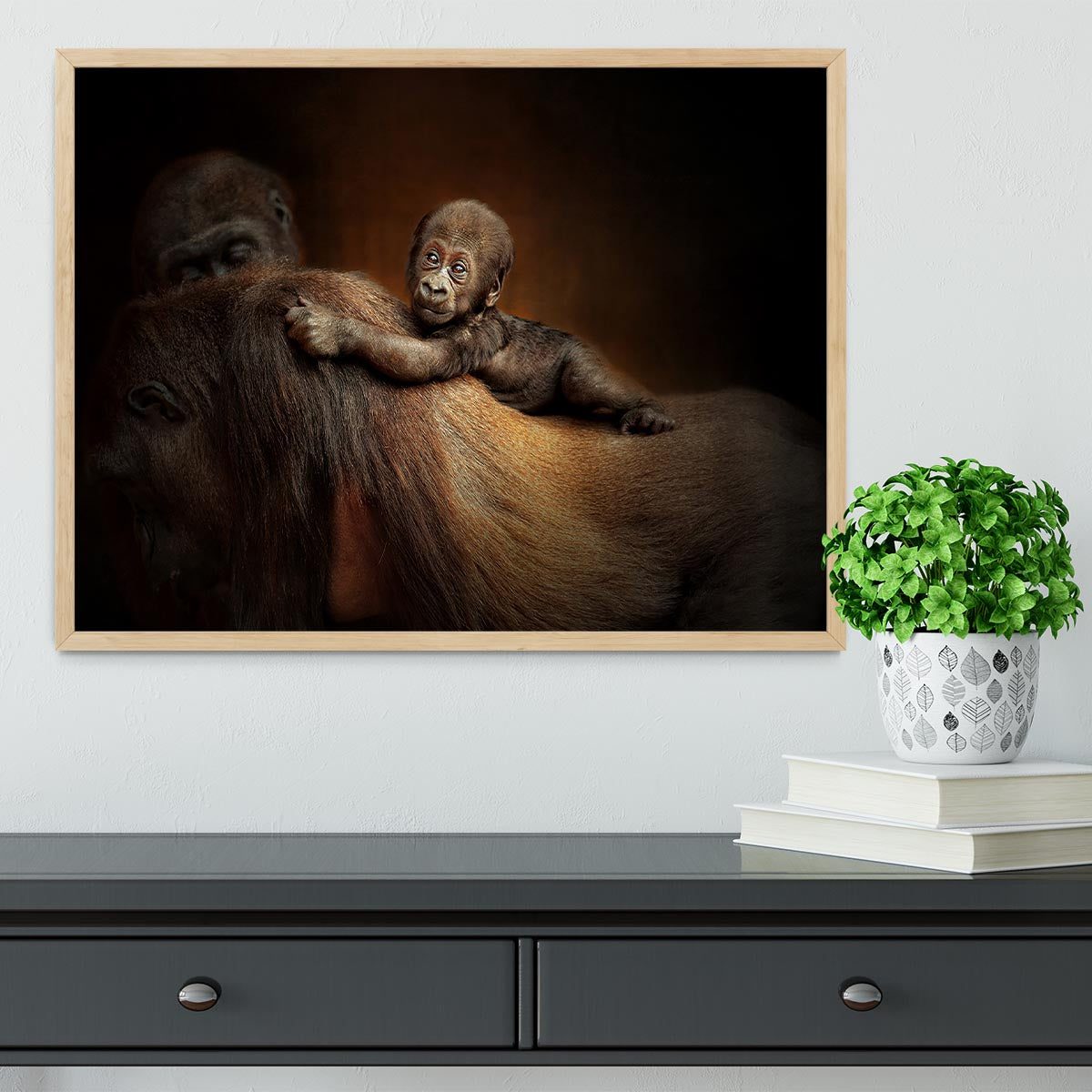 Baby Monkey Framed Print - Canvas Art Rocks - 4