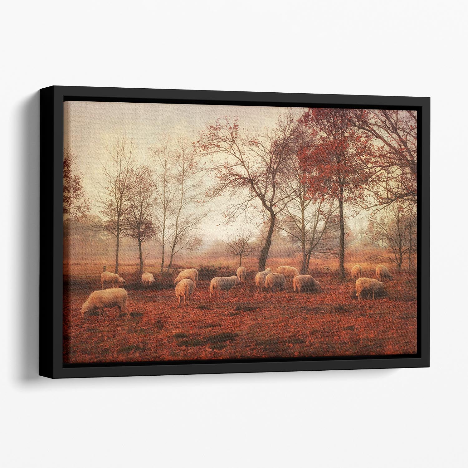 Last days of autumn Floating Framed Canvas - Canvas Art Rocks - 1