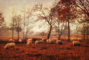 Last days of autumn Wall Mural Wallpaper - Canvas Art Rocks - 1