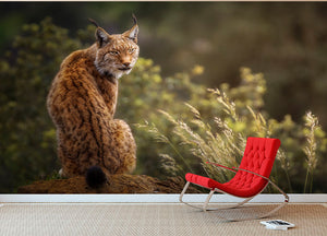 Lynx Fine Art Wall Mural Wallpaper - Canvas Art Rocks - 2