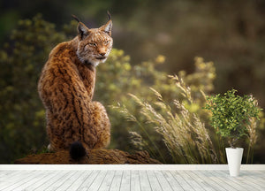 Lynx Fine Art Wall Mural Wallpaper - Canvas Art Rocks - 4