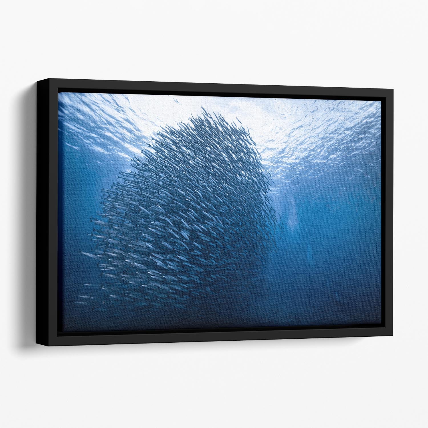 Mass Giant Floating Framed Canvas - Canvas Art Rocks - 1