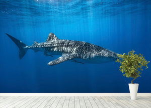 Whale Shark In The Blue Wall Mural Wallpaper - Canvas Art Rocks - 4