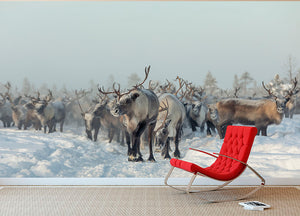 Reindeers Wall Mural Wallpaper - Canvas Art Rocks - 2