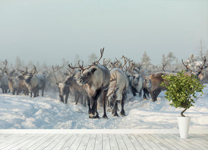 Reindeers Wall Mural Wallpaper - Canvas Art Rocks - 4