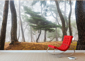 In The Misty Pine Forest Wall Mural Wallpaper - Canvas Art Rocks - 2