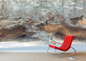 Reindeers III Wall Mural Wallpaper - Canvas Art Rocks - 2