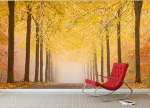 Autumn Road Wall Mural Wallpaper - Canvas Art Rocks - 2