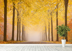 Autumn Road Wall Mural Wallpaper - Canvas Art Rocks - 4