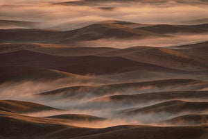 Early Spring Morning At Palouse Wall Mural Wallpaper - Canvas Art Rocks - 1