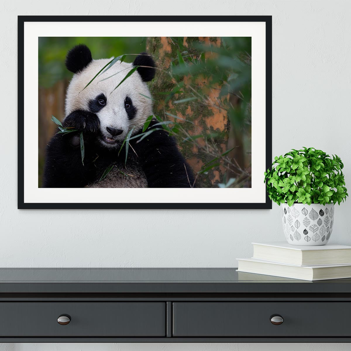 Bamboo Time Framed Print - Canvas Art Rocks - 1