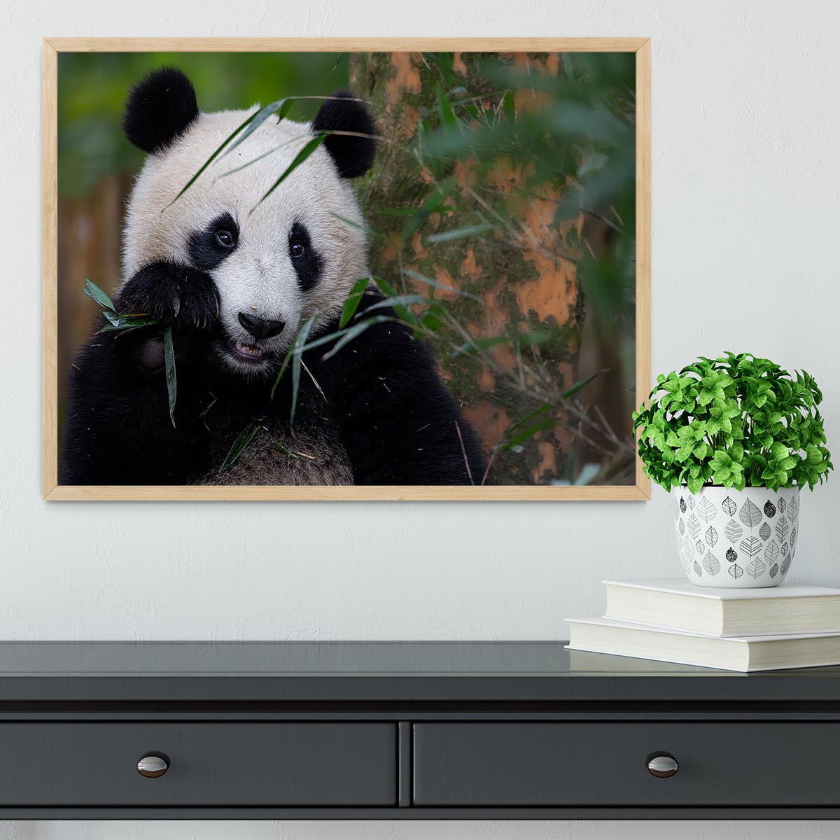 Bamboo Time Framed Print - Canvas Art Rocks - 4