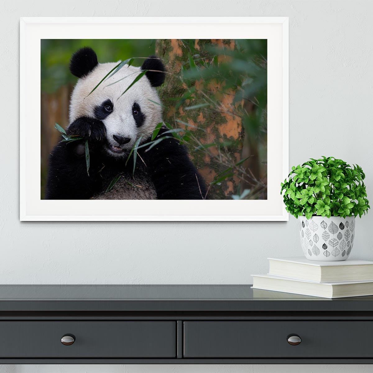 Bamboo Time Framed Print - Canvas Art Rocks - 5