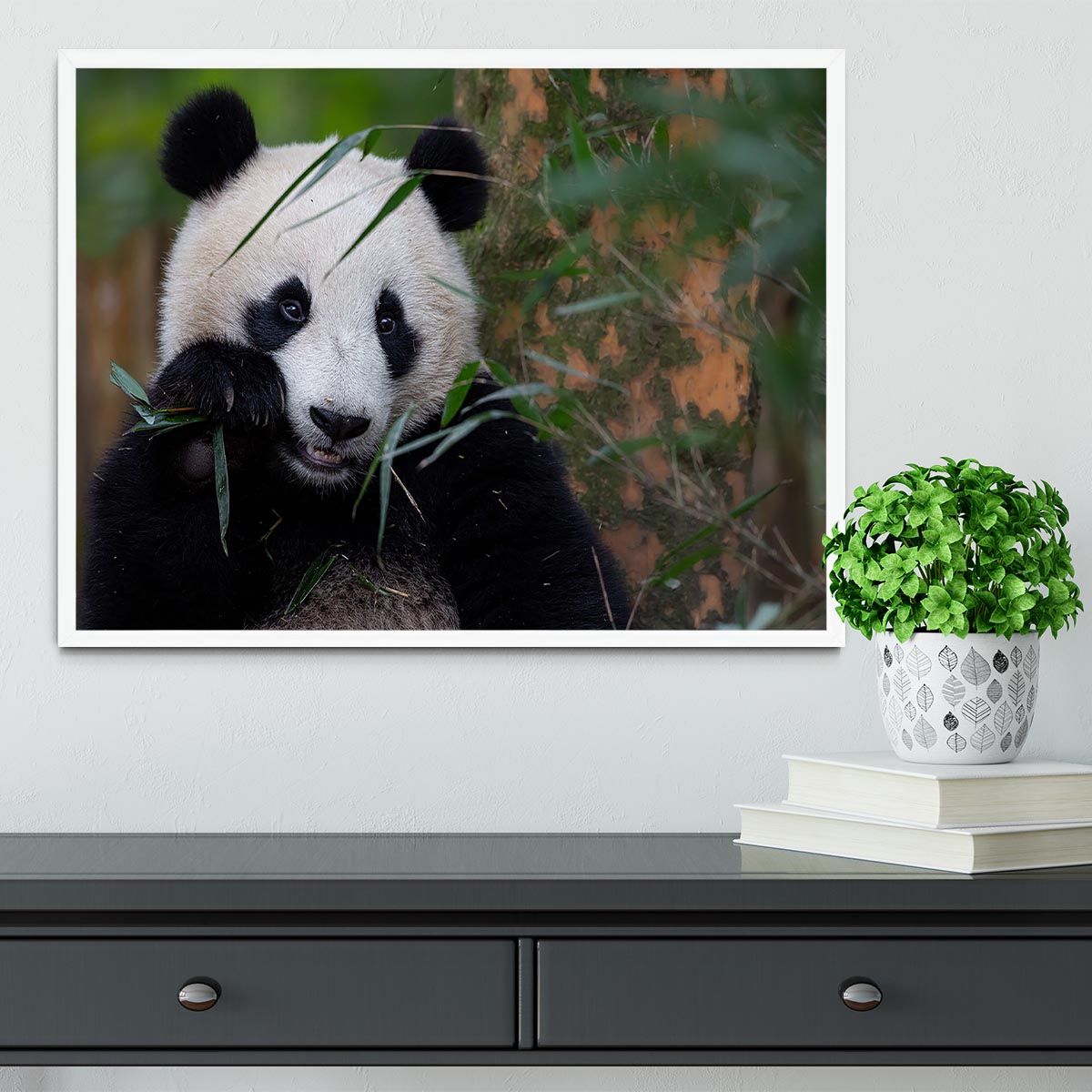 Bamboo Time Framed Print - Canvas Art Rocks -6