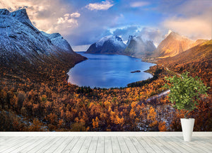 Autumn In Senja Wall Mural Wallpaper - Canvas Art Rocks - 4