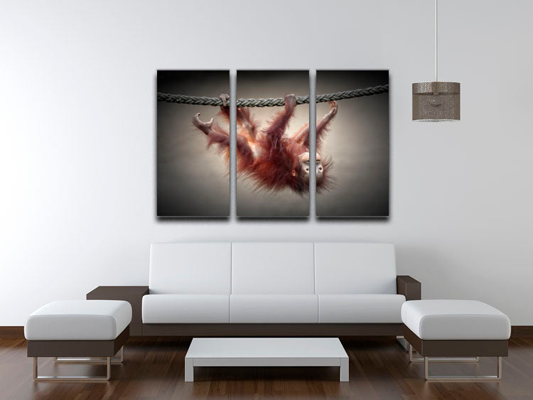 Climbing Monkey 3 Split Panel Canvas Print - Canvas Art Rocks - 3