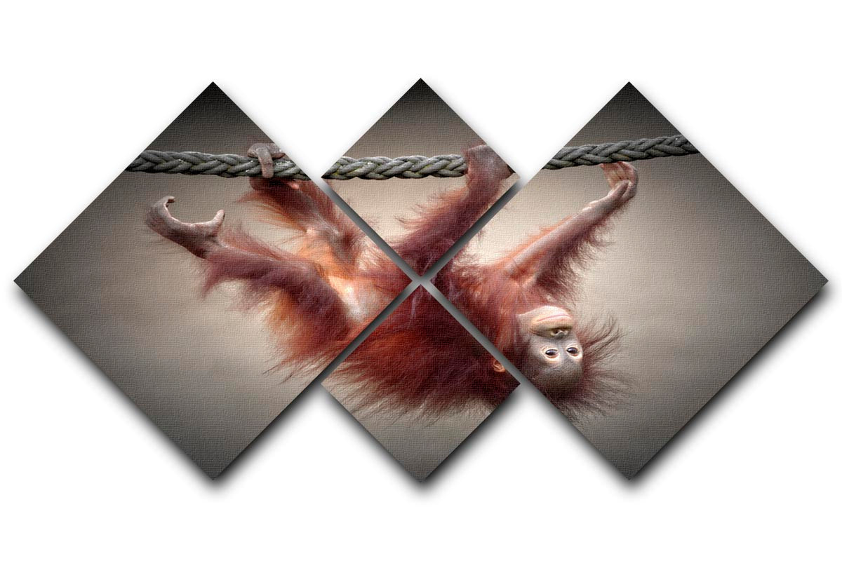 Climbing Monkey 4 Square Multi Panel Canvas - Canvas Art Rocks - 1