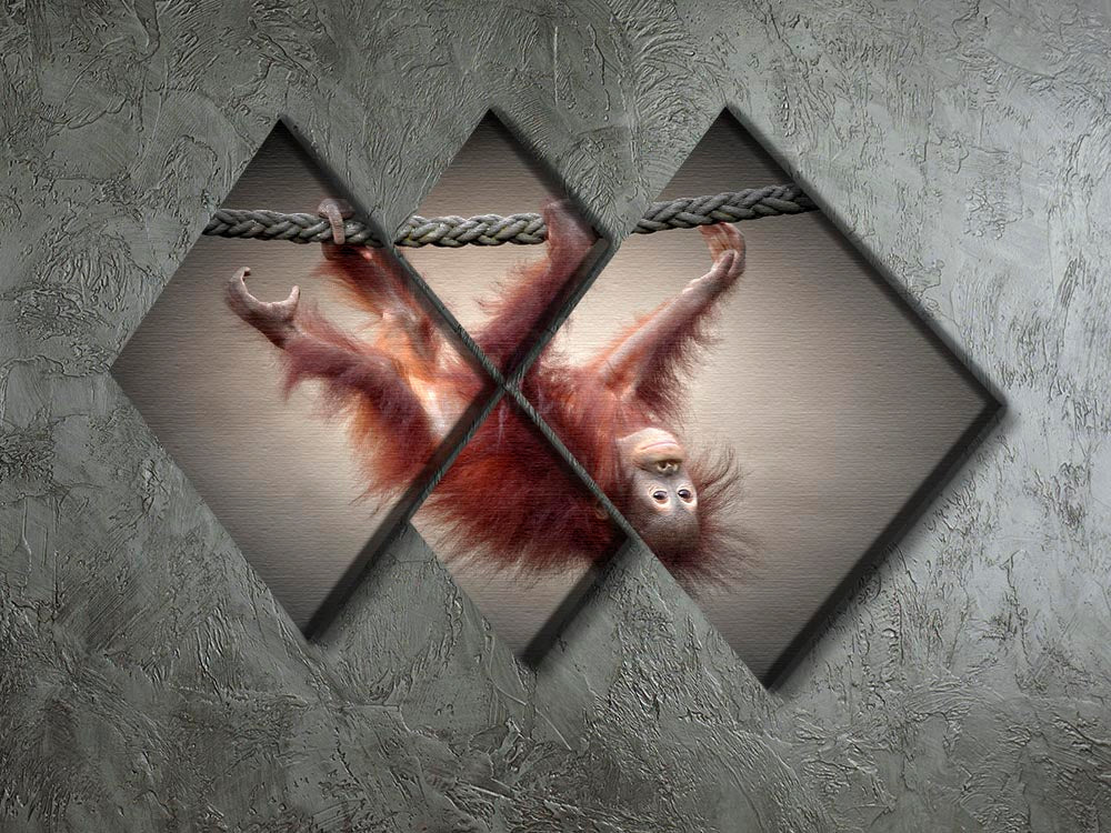 Climbing Monkey 4 Square Multi Panel Canvas - Canvas Art Rocks - 2