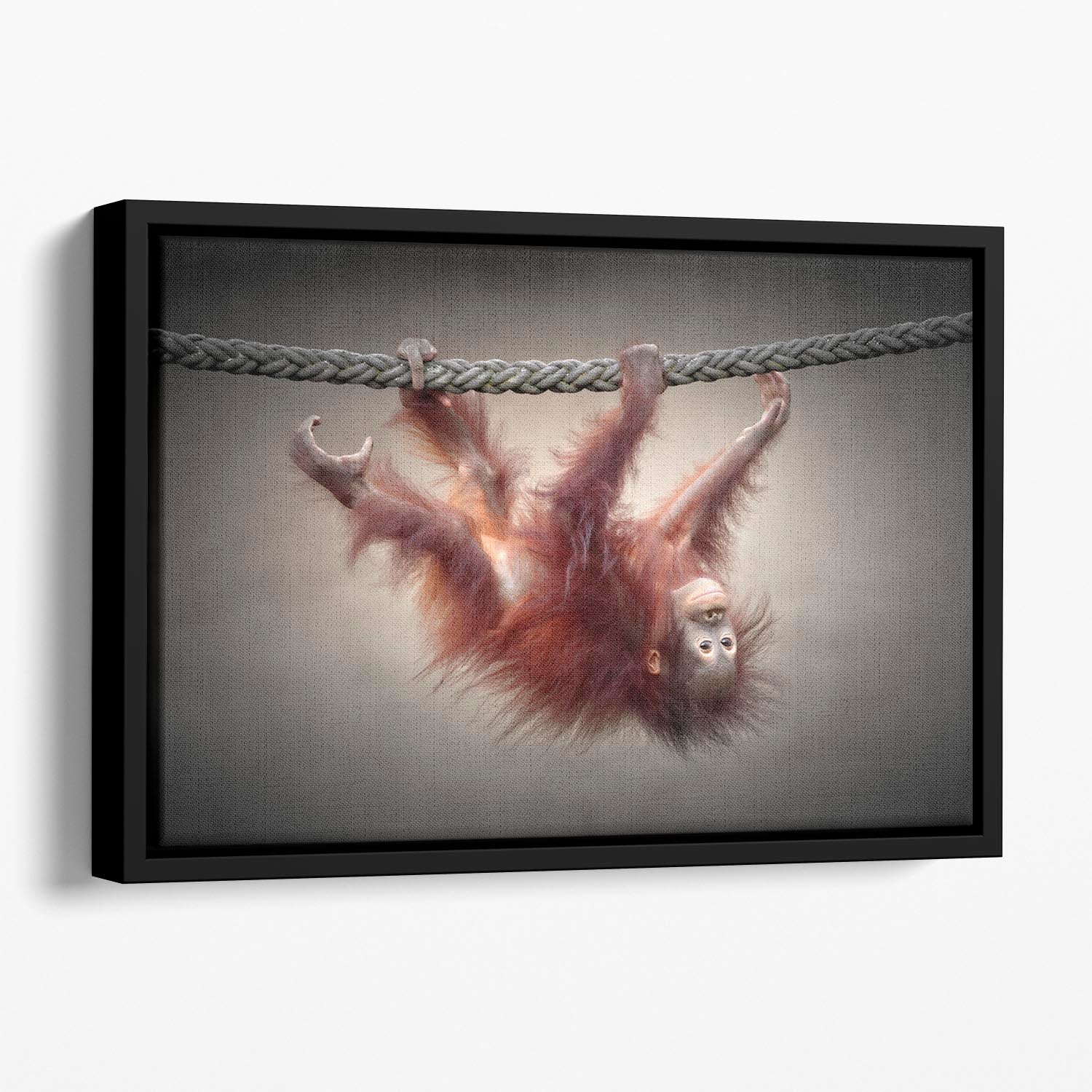 Climbing Monkey Floating Framed Canvas - Canvas Art Rocks - 1