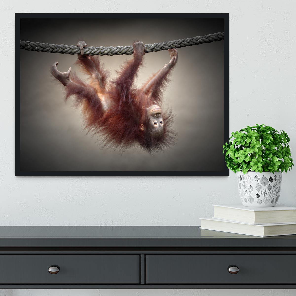 Climbing Monkey Framed Print - Canvas Art Rocks - 2