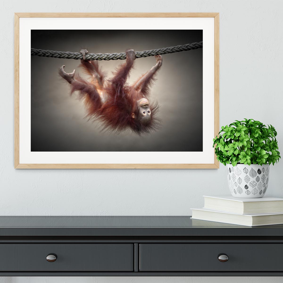 Climbing Monkey Framed Print - Canvas Art Rocks - 3