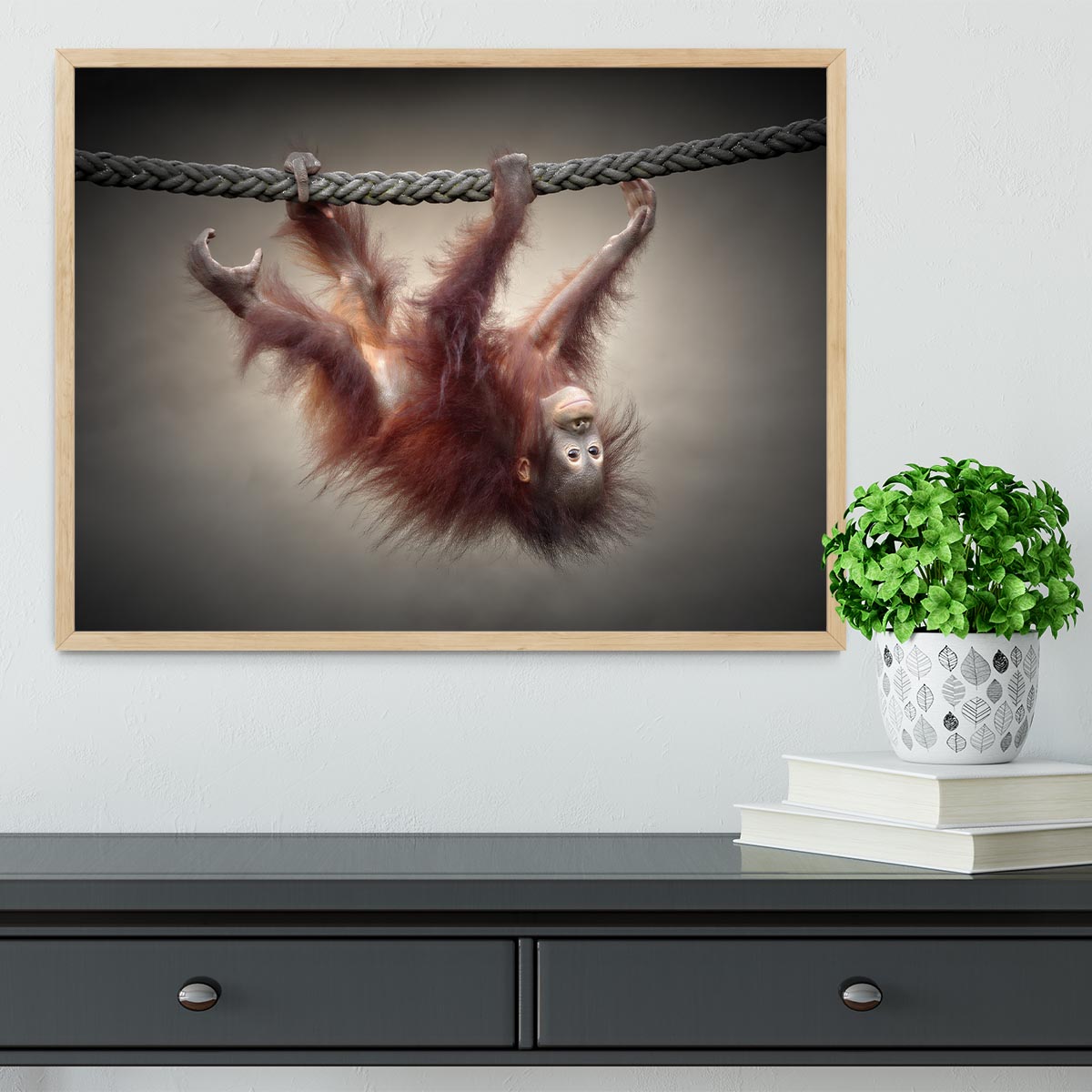 Climbing Monkey Framed Print - Canvas Art Rocks - 4