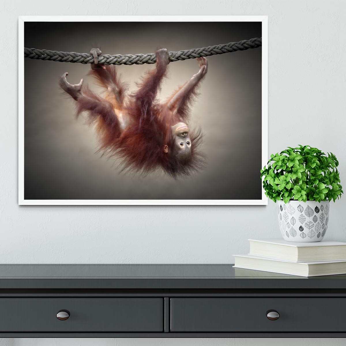 Climbing Monkey Framed Print - Canvas Art Rocks -6