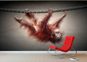 Climbing Monkey Wall Mural Wallpaper - Canvas Art Rocks - 2