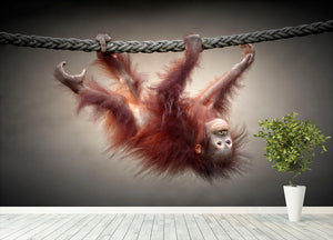 Climbing Monkey Wall Mural Wallpaper - Canvas Art Rocks - 4